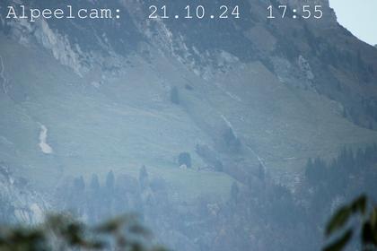 Sennwald: Alpeelcam