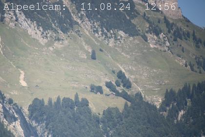 Sennwald: Alpeelcam