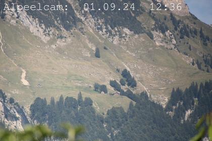 Sennwald: Alpeelcam