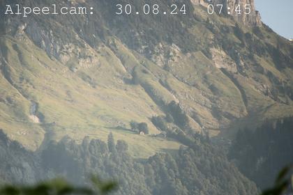 Sennwald: Alpeelcam