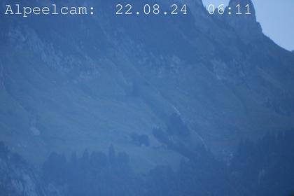 Sennwald: Alpeelcam