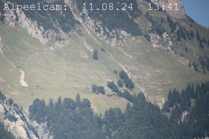 Sennwald: Alpeelcam