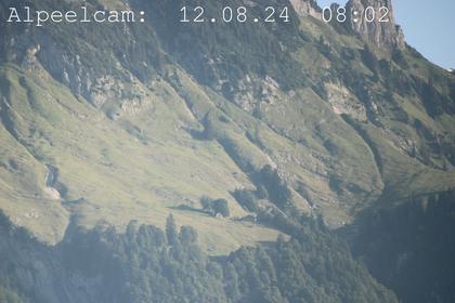 Sennwald: Alpeelcam