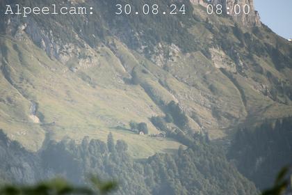 Sennwald: Alpeelcam