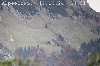 Sennwald: Alpeelcam