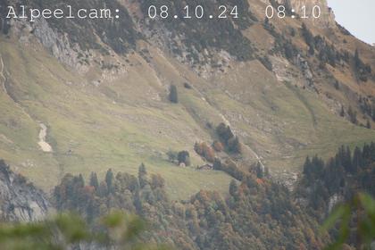 Sennwald: Alpeelcam