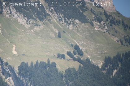 Sennwald: Alpeelcam