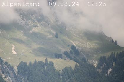 Sennwald: Alpeelcam