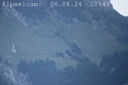 Sennwald: Alpeelcam