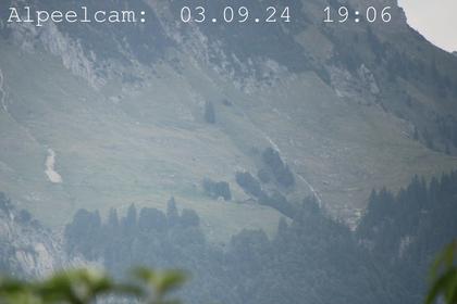 Sennwald: Alpeelcam