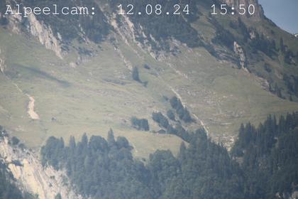 Sennwald: Alpeelcam