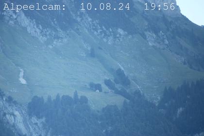 Sennwald: Alpeelcam