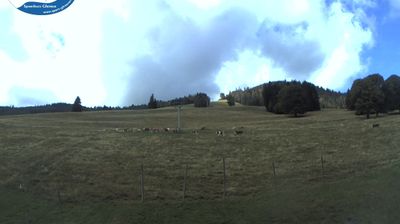 Menzenschwand Hinterdorf › South: Menzenschwand - Schwinbach