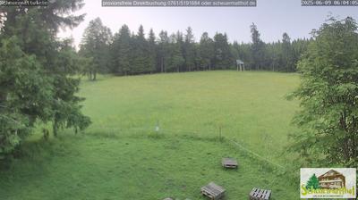 Aftersteg forest webcam