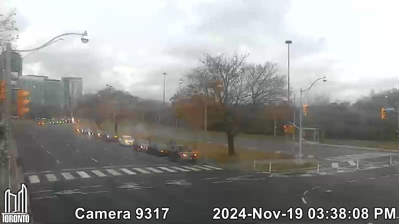 Traffic Cam Old Toronto: Lake Shore W near Colborne Lodge Dr