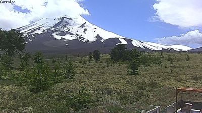 Curacautin: Corralco