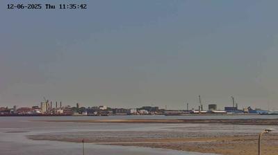 Esbjerg: Scenic Waterfront Weather Gaze