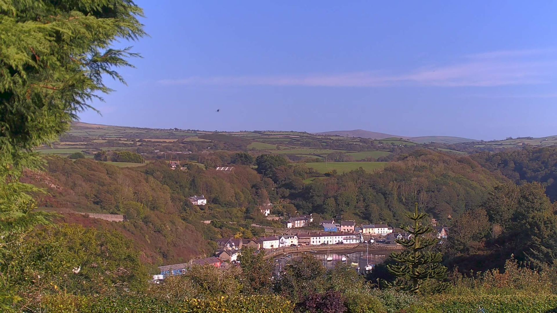 Traffic Cam Fishguard