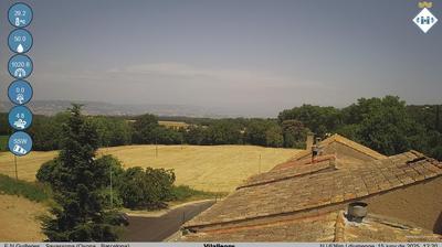 North View: Building, Landscape, Weather