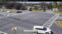 Newnan: COW-CAM-009--1 - Day time