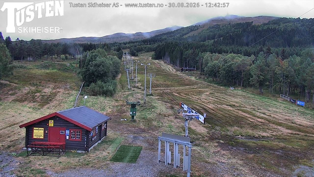 Traffic Cam Molde