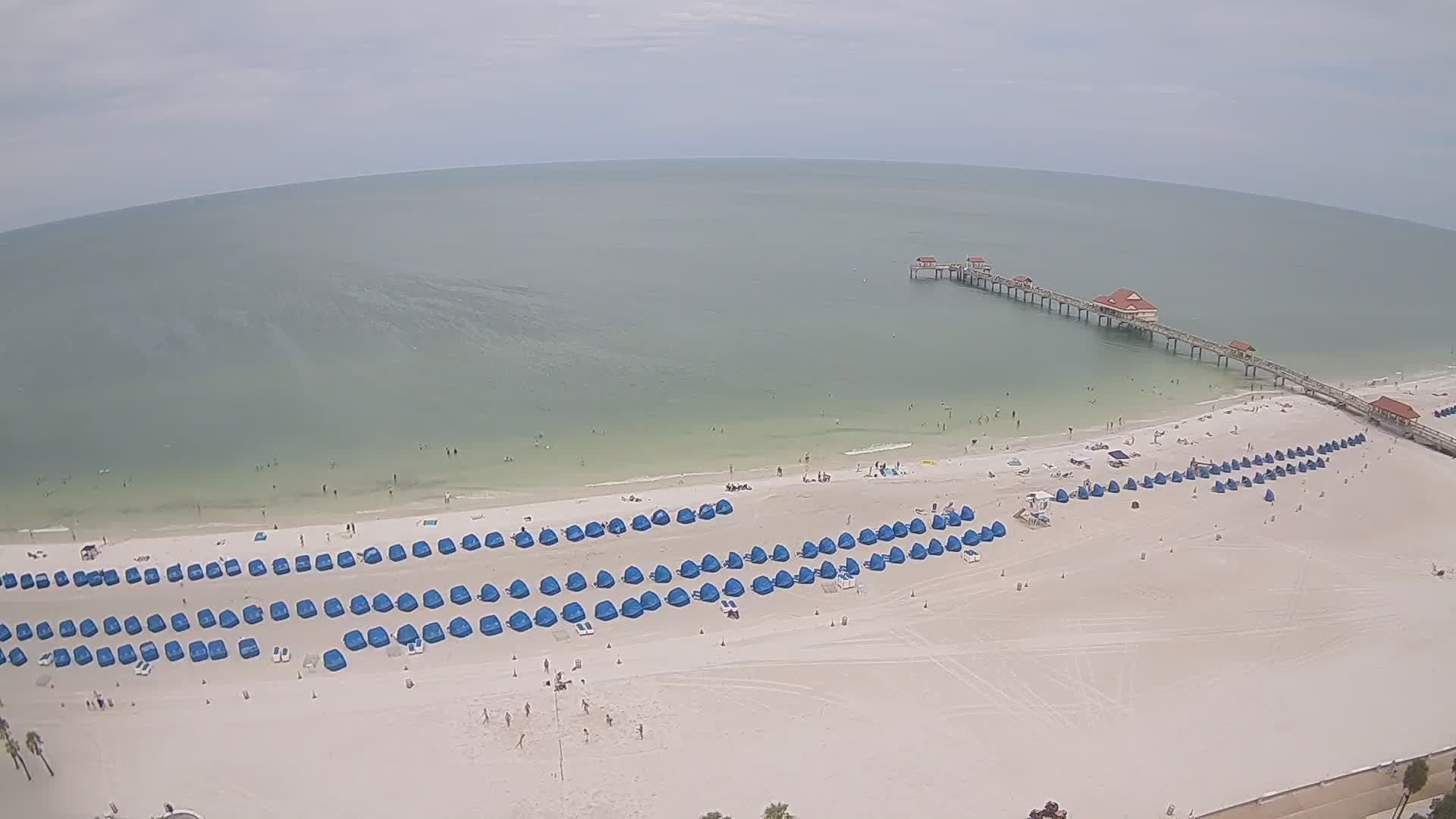 Clearwater webcam