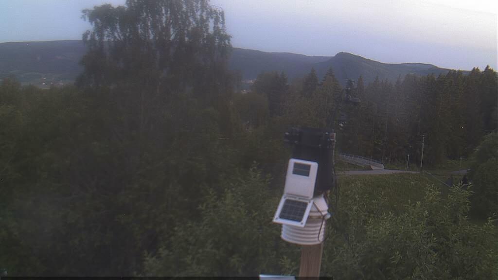 Scenic Tranby Webcam