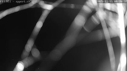 Flühli: Schwändiliflue