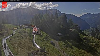 Grindelwald › West: Pfingstegg - Grindelwald Paradise - Kleine Scheidegg - Männlichen - Männlichen