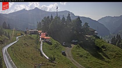 Grindelwald › West: Pfingstegg - Grindelwald Paradise - Kleine Scheidegg - Männlichen - Männlichen