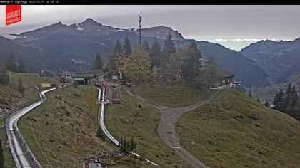 Grindelwald › West: Pfingstegg - Grindelwald Paradise - Kleine Scheidegg - Männlichen - Männlichen