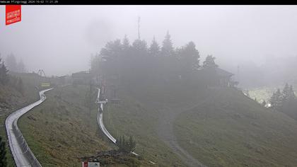 Grindelwald › West: Pfingstegg - Grindelwald Paradise - Kleine Scheidegg - Männlichen - Männlichen