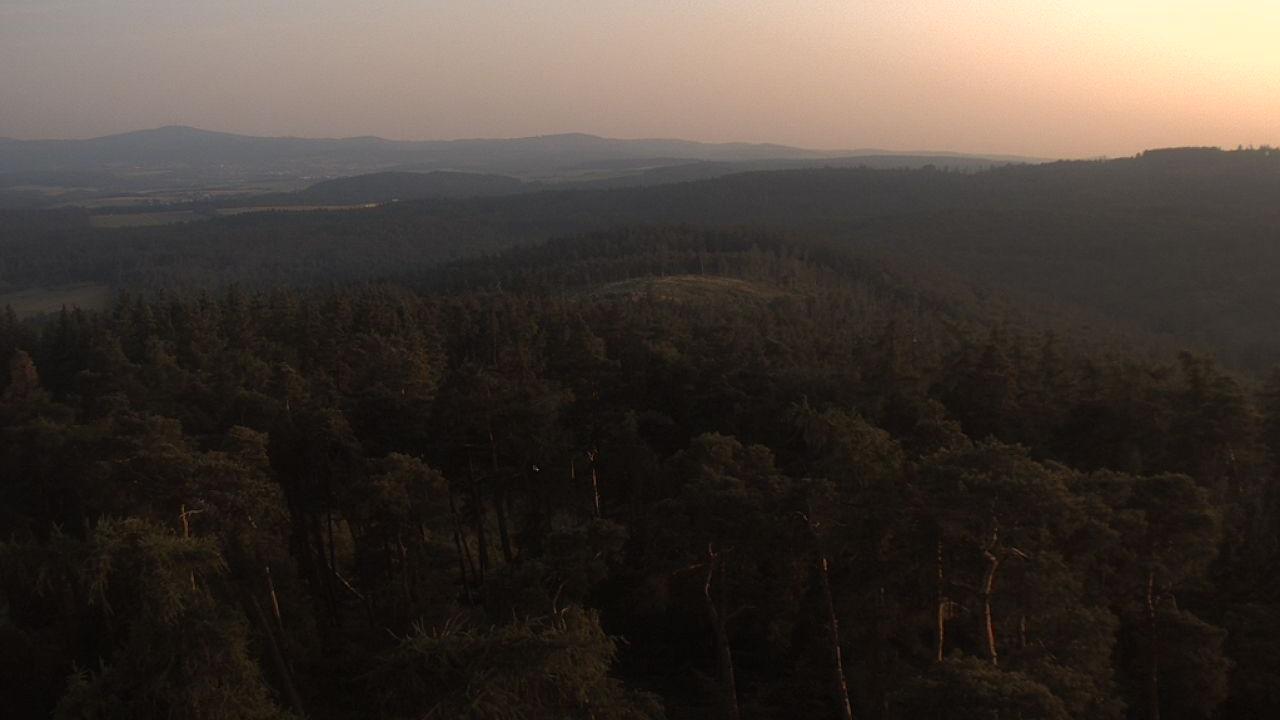 Wiesental forest Webcam