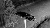 Halifax: Osprey Cam