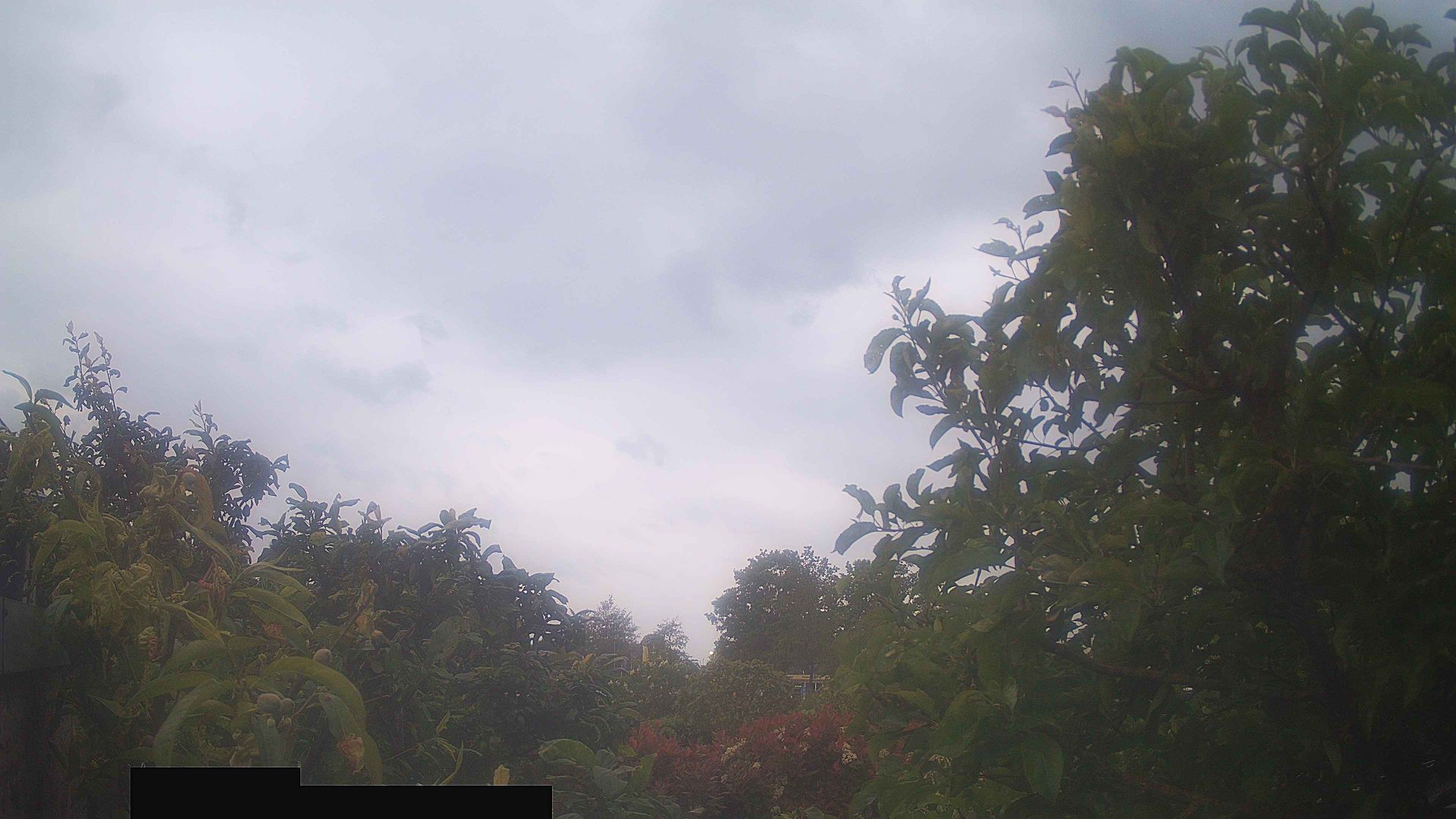 Traffic Cam Oldebroek › West