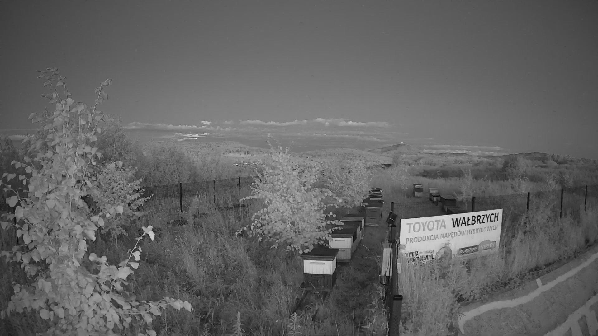 Traffic Cam Walbrzych