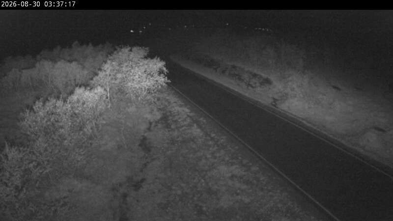 Traffic Cam Nesna: F17 Sjonfjellet