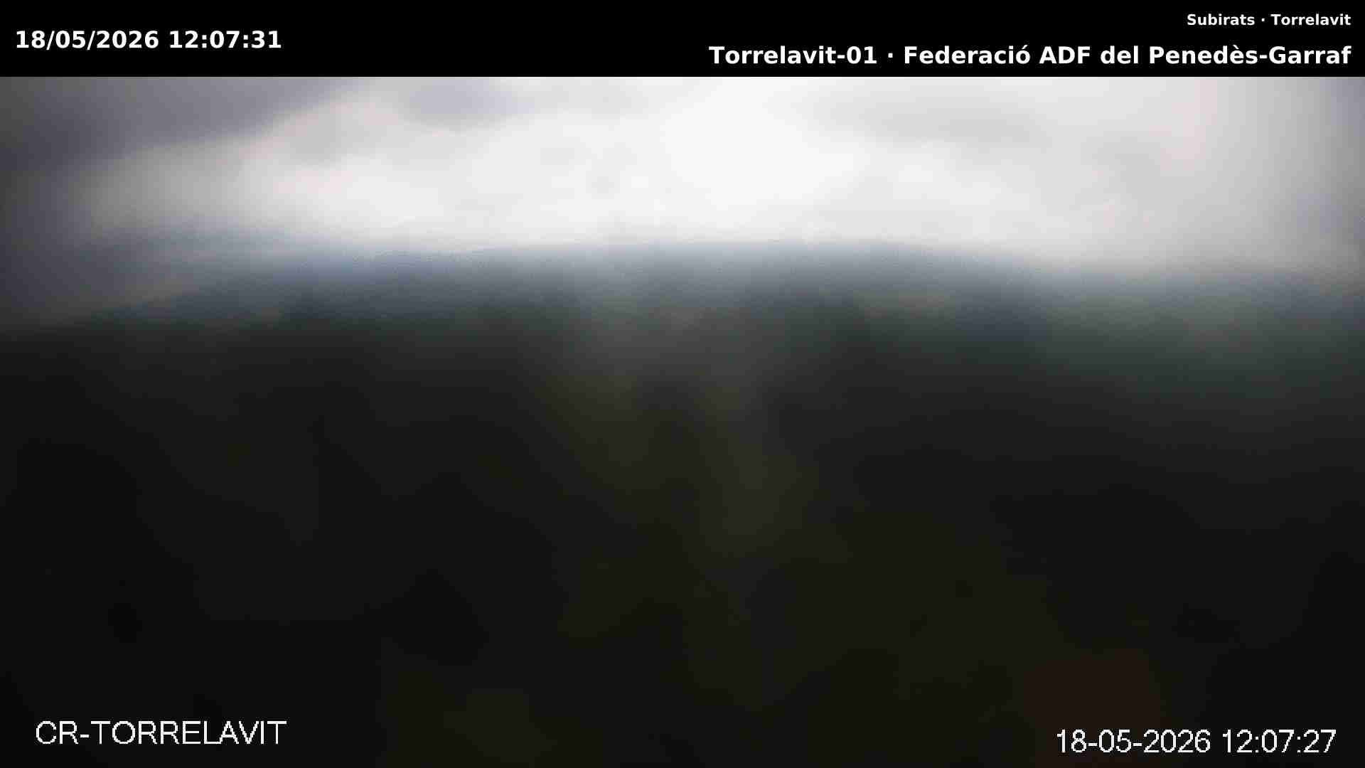 Traffic Cam Torrelavit