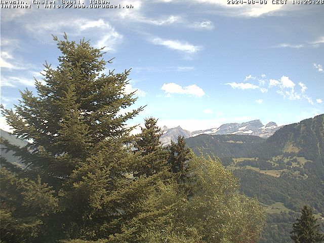 Leysin: Chalet Sybil, CH-1854 - vue en direction de l'est