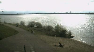 Lingen Daglicht Webcam Image