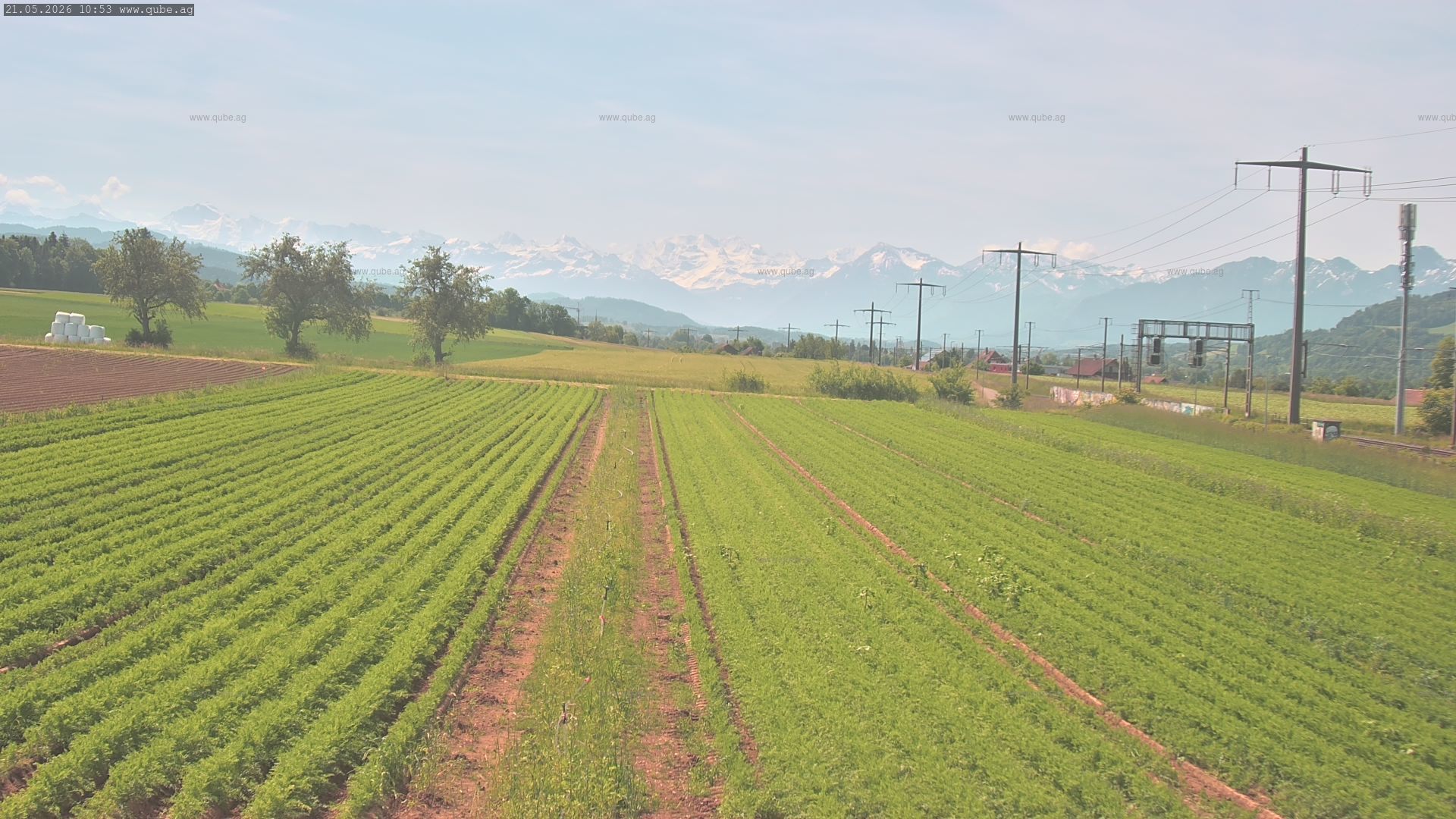 Rubigen: Sicht in Richtung Berner Oberland