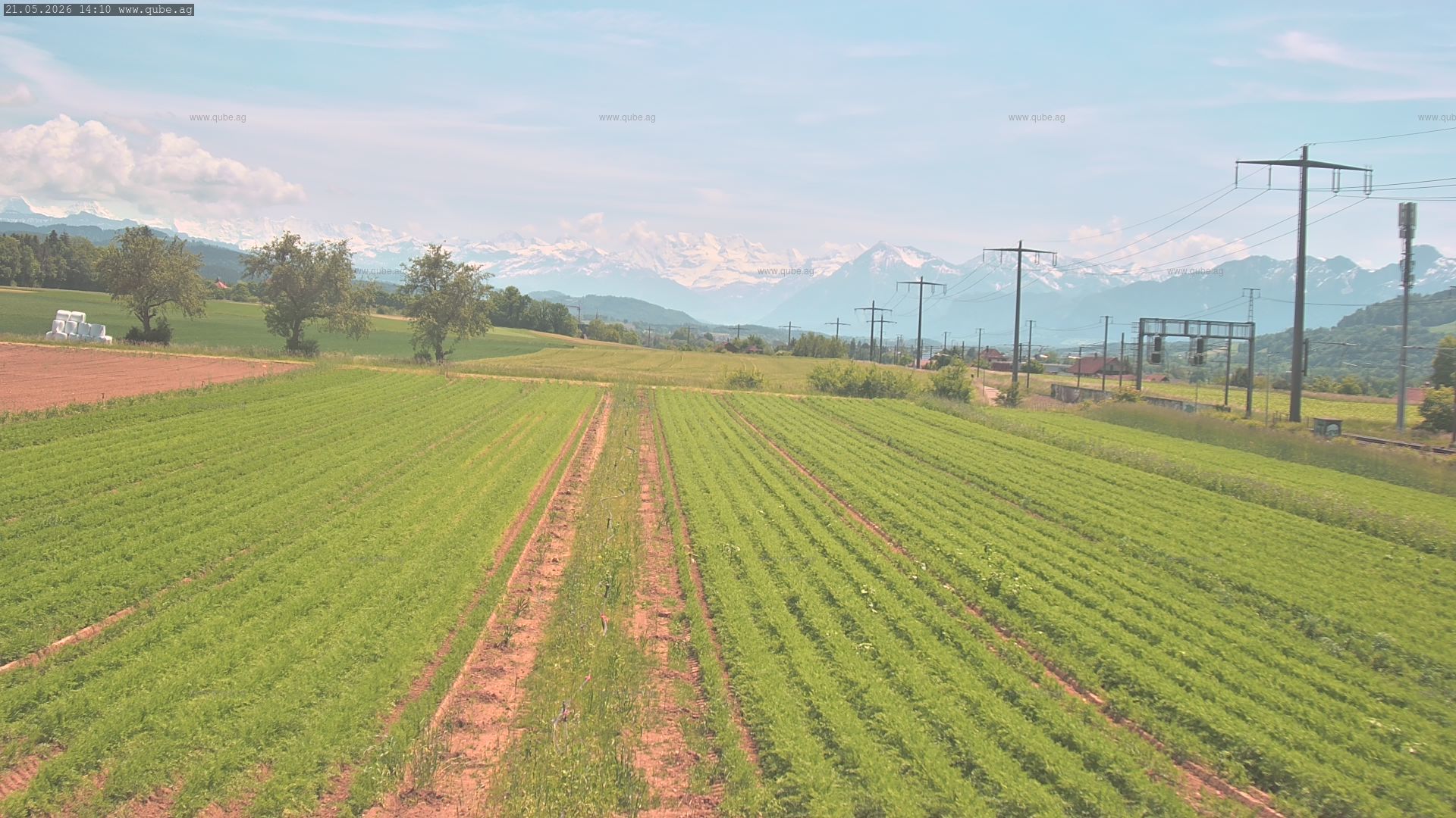Rubigen: Sicht in Richtung Berner Oberland