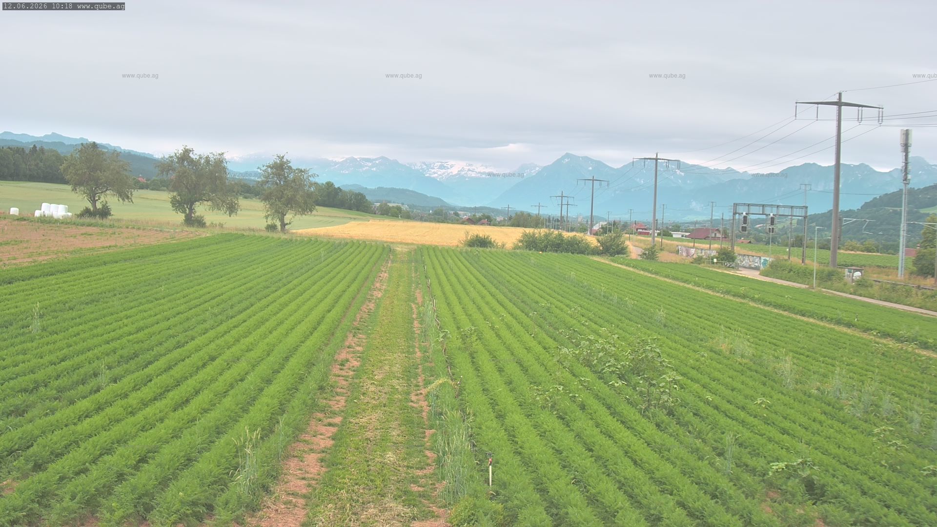 Rubigen: Sicht in Richtung Berner Oberland