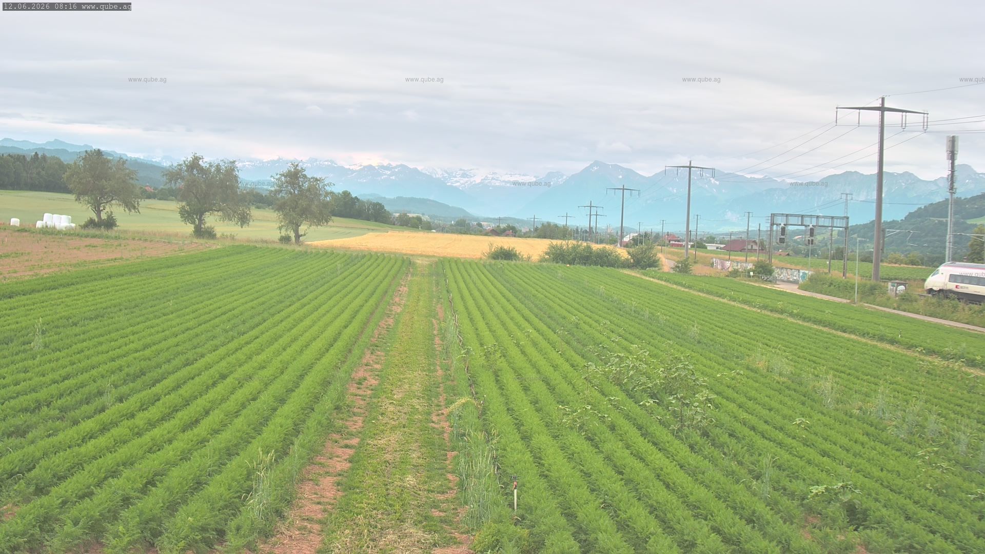 Rubigen: Sicht in Richtung Berner Oberland