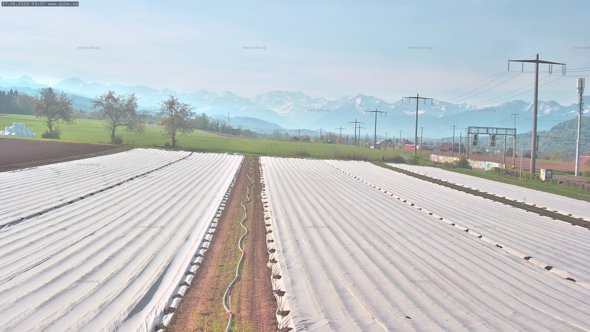 Rubigen: Sicht in Richtung Berner Oberland