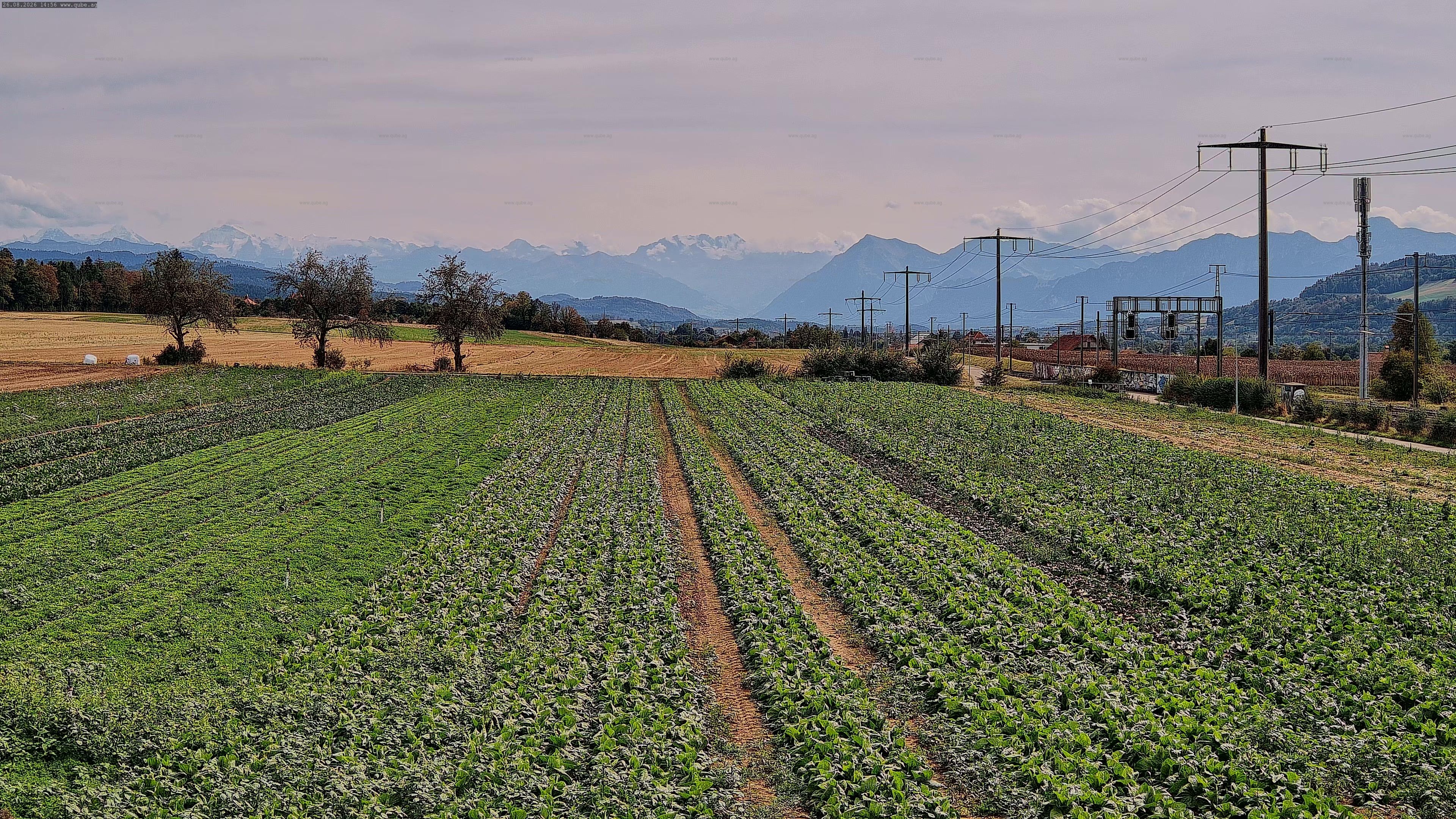 Rubigen › Südosten: Sicht in Richtung Berner Oberland