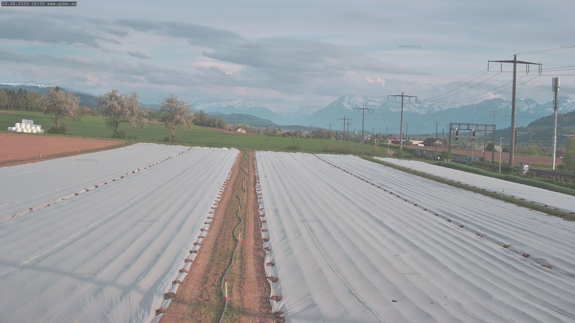 Rubigen: Sicht in Richtung Berner Oberland