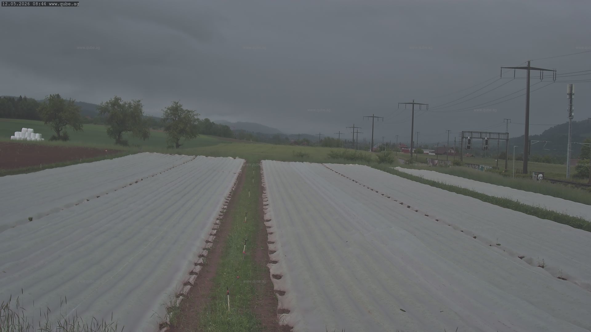 Rubigen: Sicht in Richtung Berner Oberland