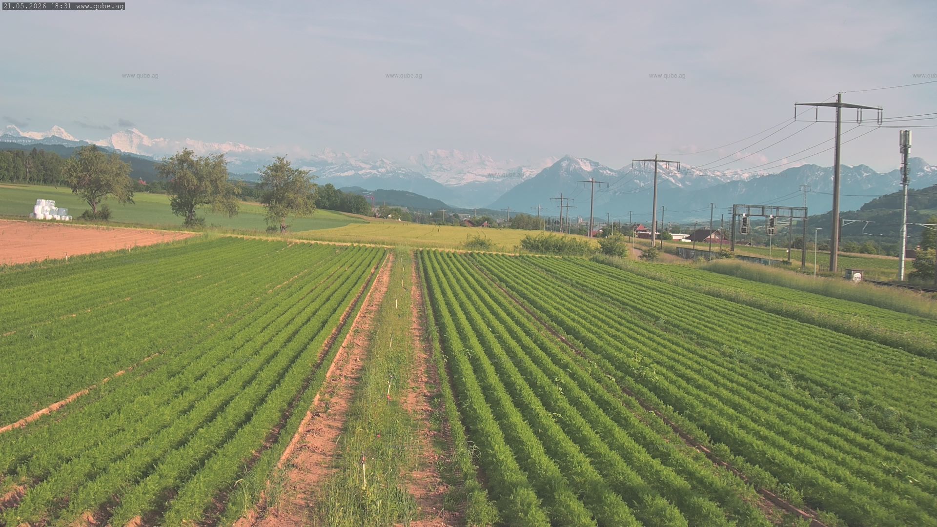 Rubigen: Sicht in Richtung Berner Oberland