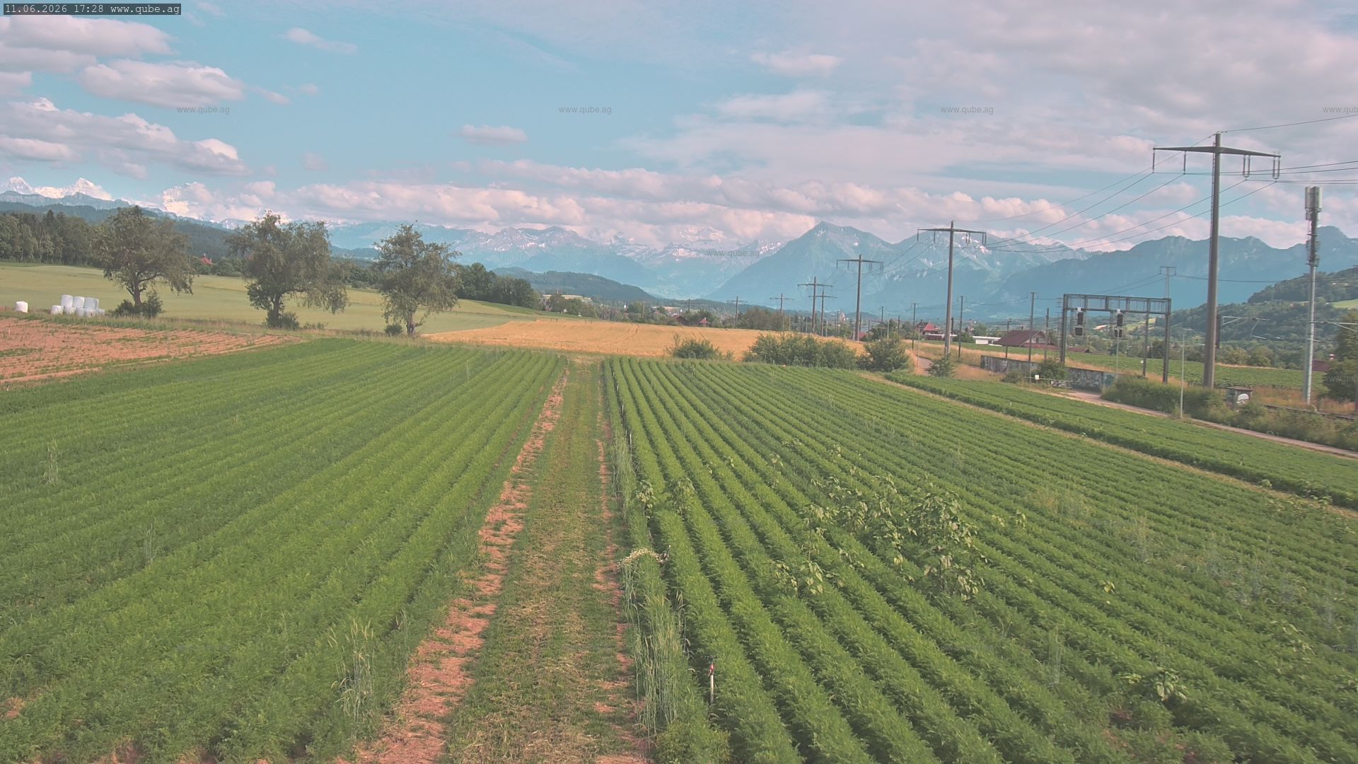 Rubigen: Sicht in Richtung Berner Oberland